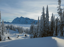 SKI-DOO originalni deli in dodatki